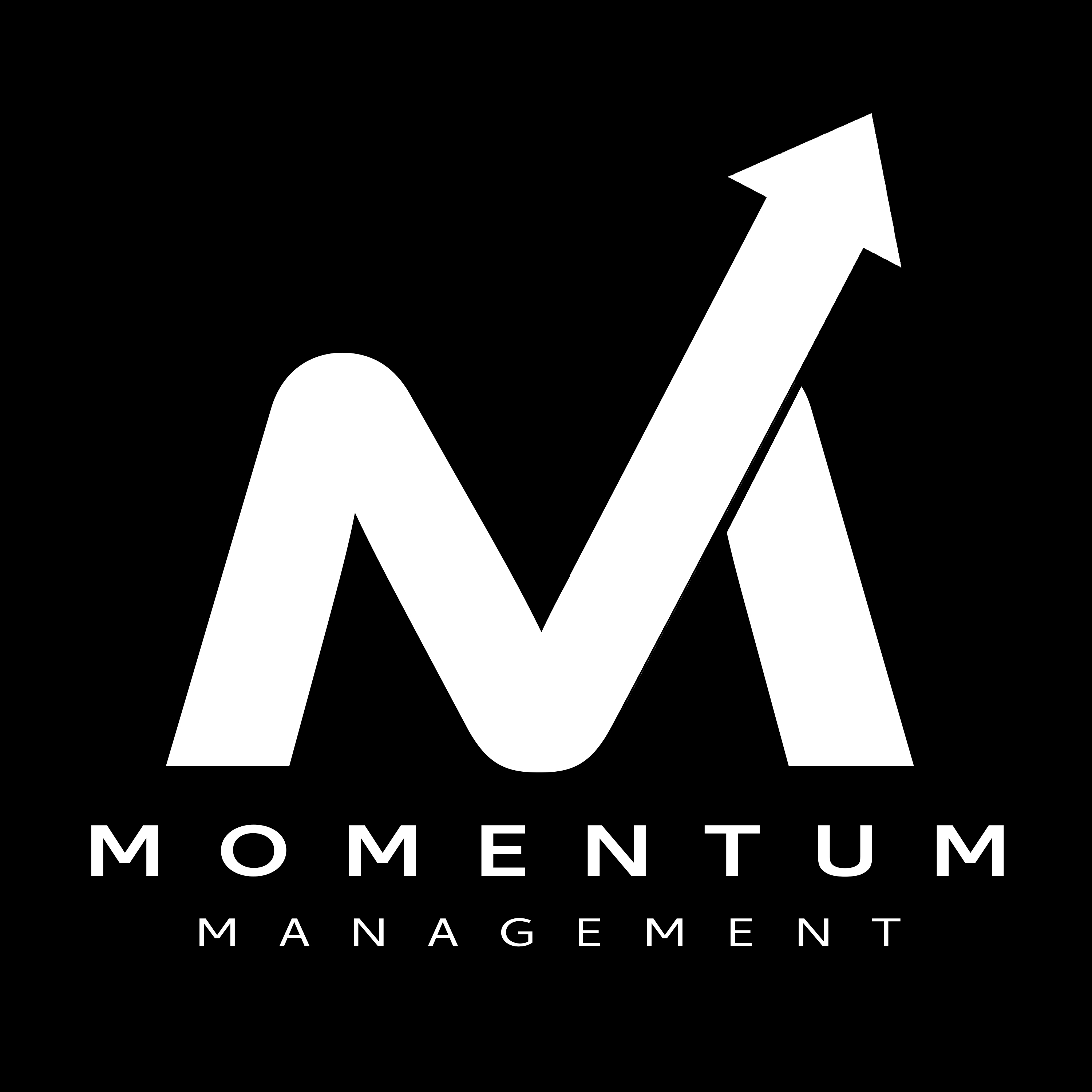 Momentum Management logo